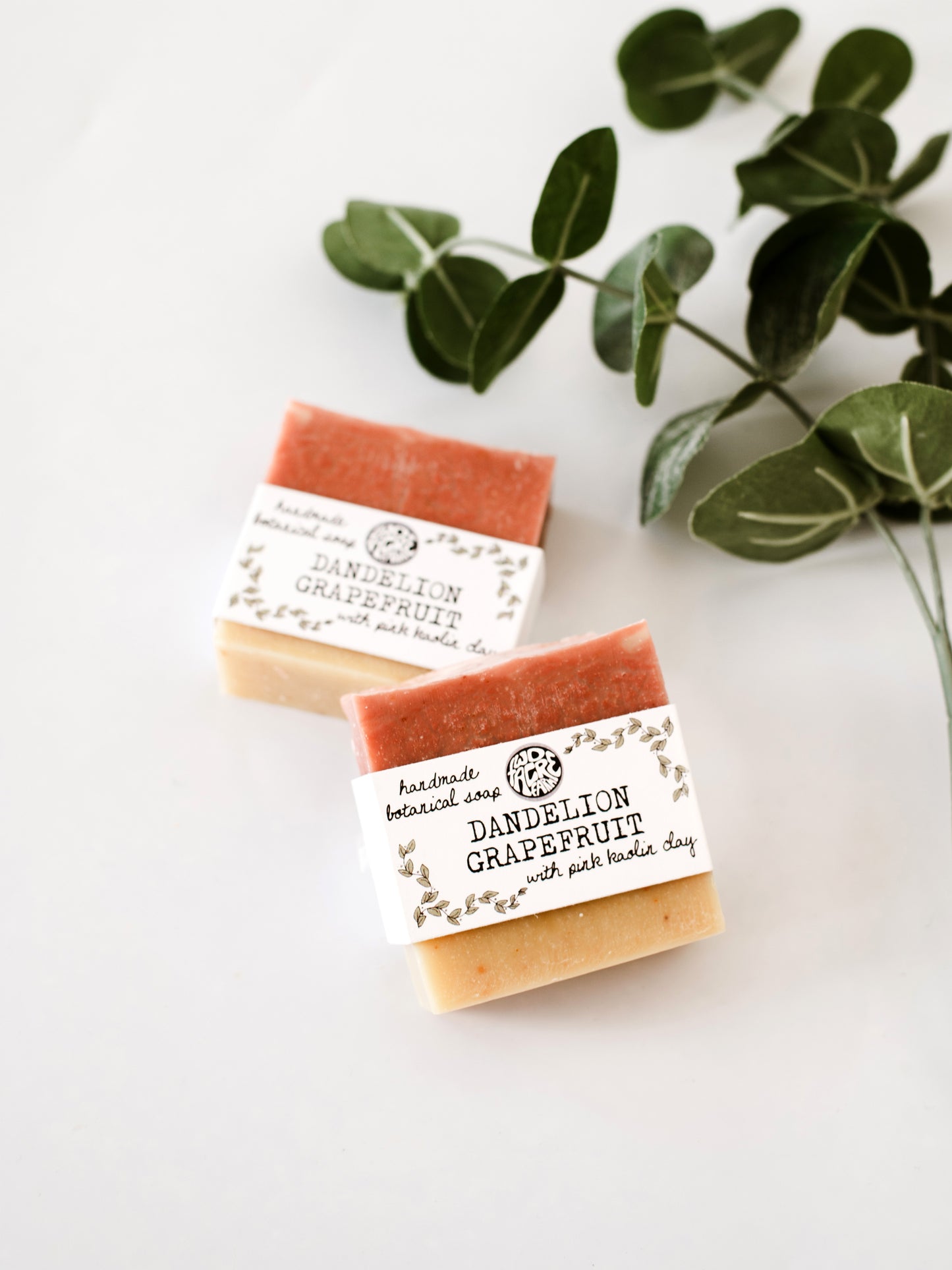 Bar Soap - Dandelion Grapefruit