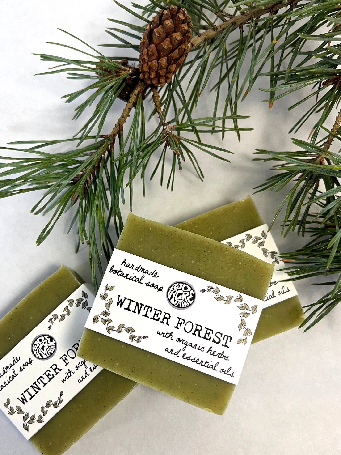 Bar Soap - Winter Forest